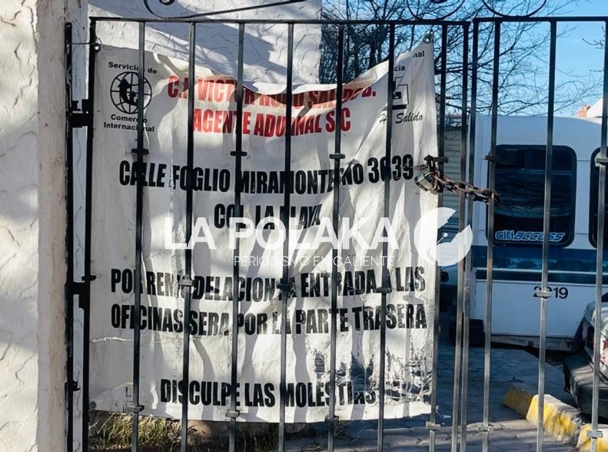 Qué Salidos...
